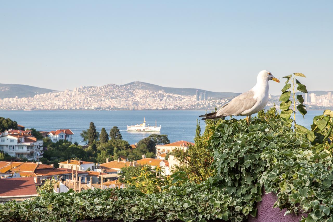L'Isola Guesthouse (Adults Only) Хейбелиада Экстерьер фото